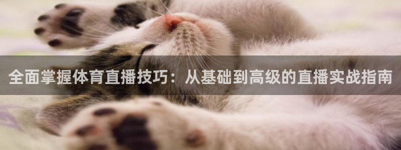 玩球球：全面掌握体育直播技巧：从基础到高级的直播实战指南