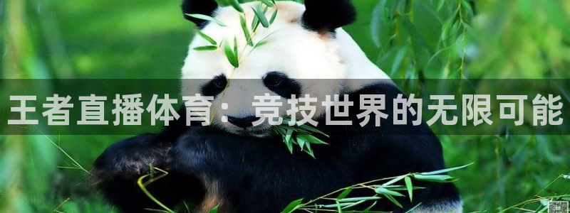 玩球直播app苹果下载：王者直播体育：竞技世界的无限可能