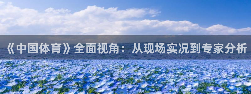 玩球直播app下载：《中国体育》全面视角：从现场实况到专家分析
