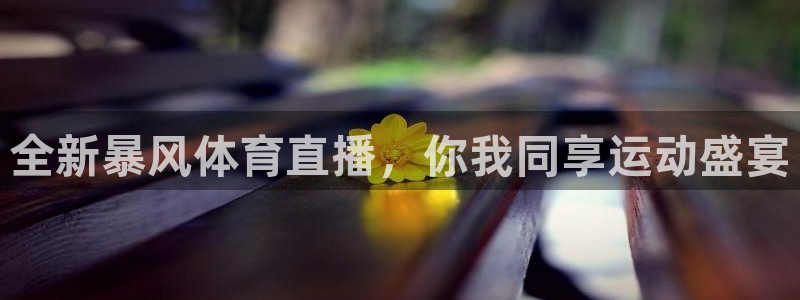 玩球app直播：全新暴风体育直播，你我同享运动盛宴