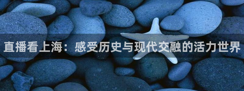 小班体育游戏玩球：直播看上海：感受历史与现代交融的活力世界