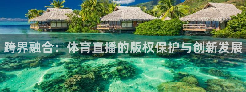 玩球直播最新版：跨界融合：体育直播的版权保护与创新发展