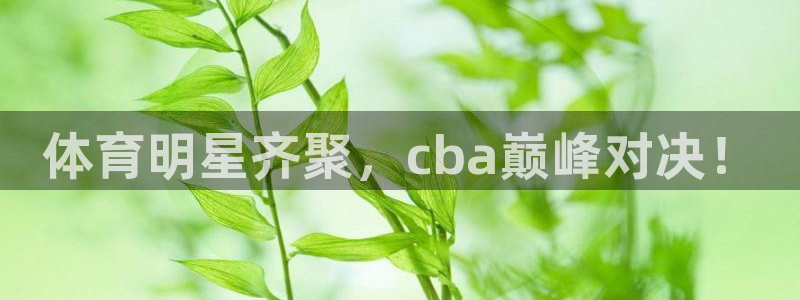 玩球直播在线观看：体育明星齐聚，cba巅峰对决！
