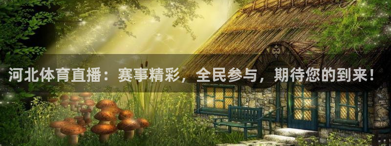 玩球直播app官方版下载：河北体育直播：赛事精彩，全民参与，期待您的到来！