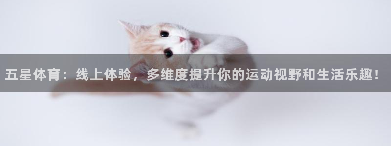 玩球直播网站：五星体育：线上体验，多维度提升你的运动视野和生活乐趣！